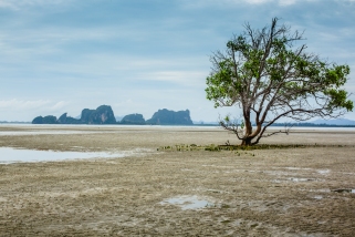 Dry-Tides-Koh-Libong-87